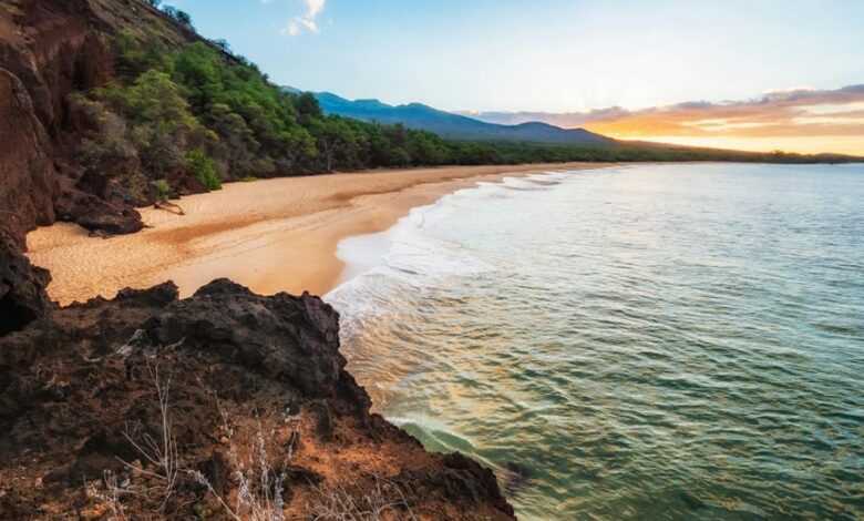 mahi manu business insights