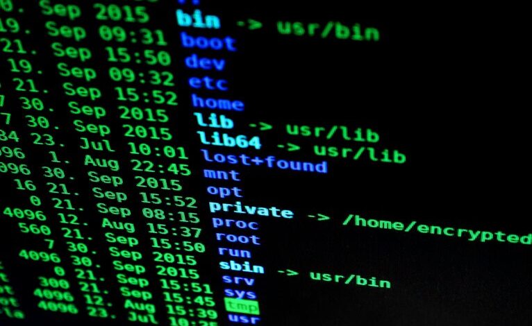 network security phone numbers