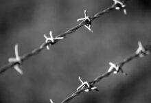 telecom security division numbers