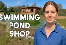 How to Choose the Ideal Pump from a Swimming Pond Shop