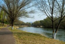 data analysis and insights