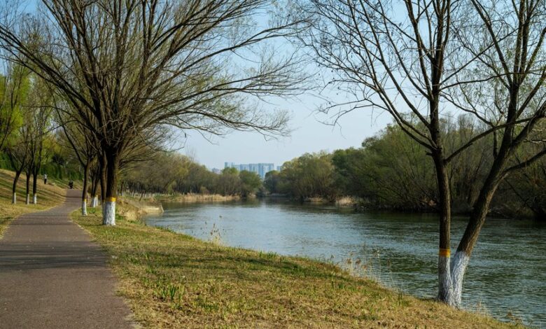 data analysis and insights