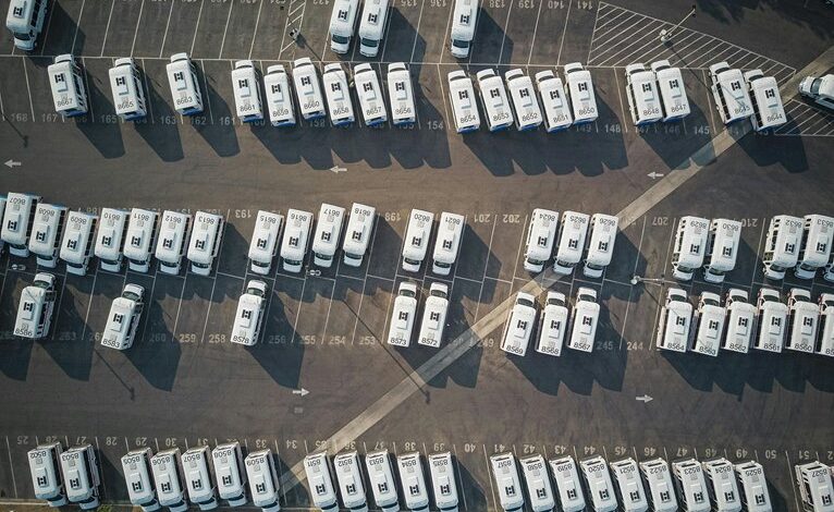 emerging opportunities for numbers