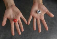 opportunity nexus identified numbers