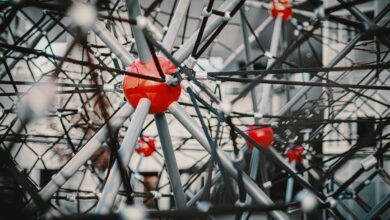 cosmic transformation and growth