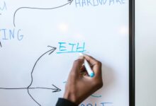 digital innovation strategy hub