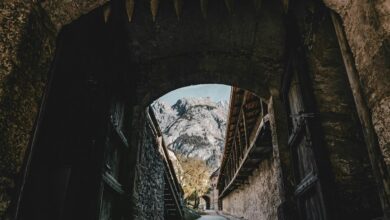 transformative success initiative launch