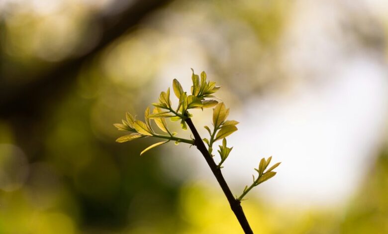 unlocking growth opportunities now