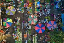 unlocking new market opportunities