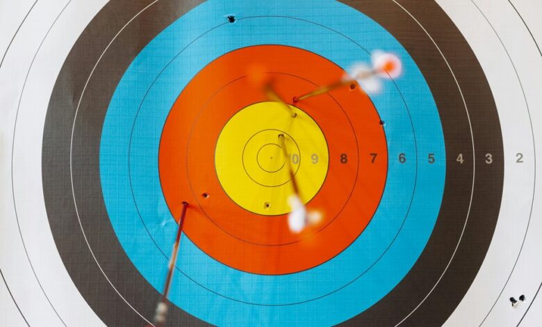 visionary success journey begins