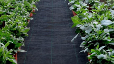 Woven Landscape Fabric