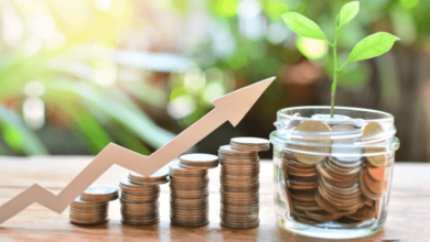 The Role of Compound Interest in Long-Term Wealth Creation