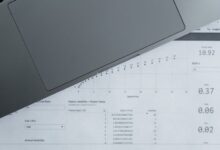 number registry reports for five ids