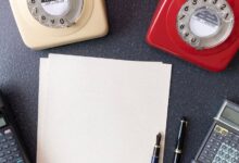 phone numbers listed in registry records