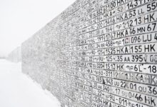 public numbers registry lookup details