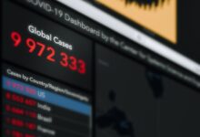 public registry reports search ids