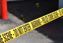 registry entries require investigation details