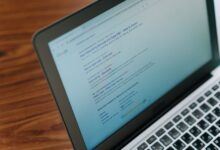 registry lookup results ids listed