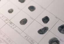 registry reference numbers search results summary