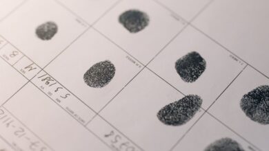 search verified registry file numbers