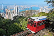 Navigating Insurance Options in Hong Kong's Competitive Market