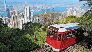 Navigating Insurance Options in Hong Kong's Competitive Market