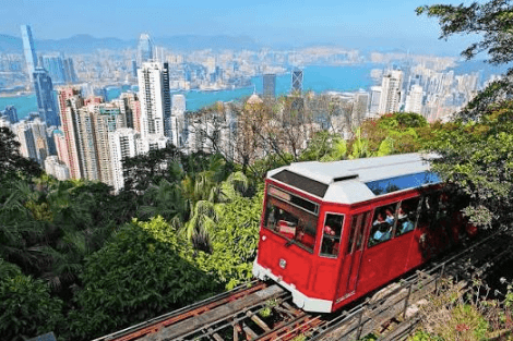 Navigating Insurance Options in Hong Kong's Competitive Market