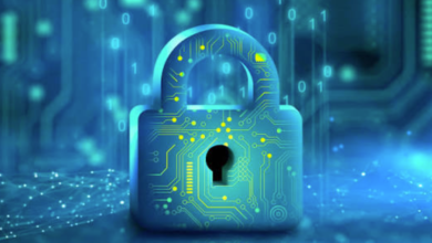 Data Security: Homomorphic Encryption — The Locked Box That Still Lets You Work